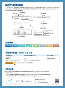 質(zhì)譜法SNP檢測(cè) 低價(jià)格高服務(wù)質(zhì)量，生工生物為您提供優(yōu)質(zhì)生命科學(xué)技術(shù)服務(wù)